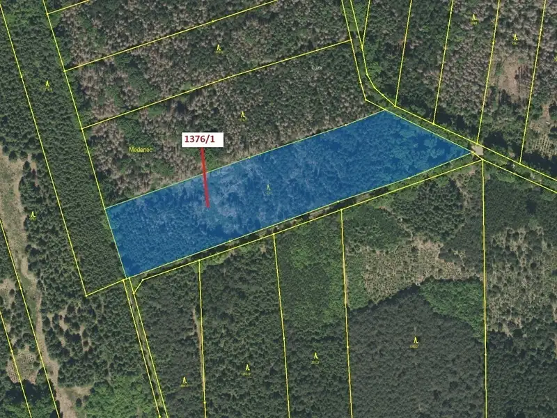 Dražba lesa 13807 m², Břehov – náhled fotky 2