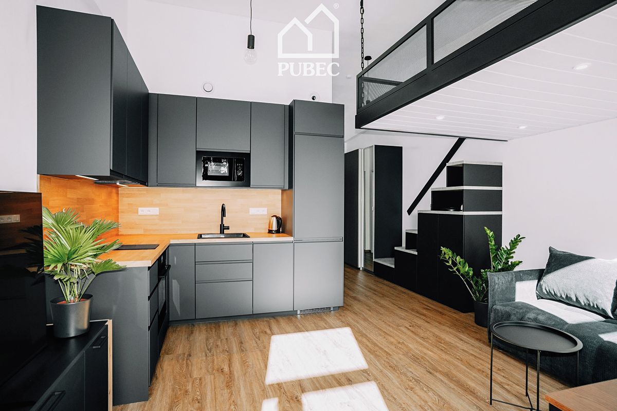 Pronájem bytu 1+kk 40 m², Plzeň – fotka 1 z 3