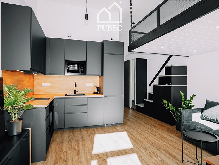 Wohnung 1+kk zur Miete, 40 m² (1 von 25)