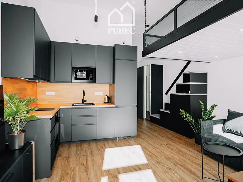 Pronájem bytu 1+kk 40 m², Plzeň – náhled fotky 1