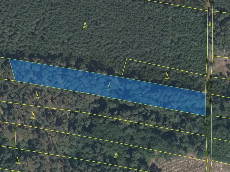 Prodej lesa 3685 m², Kostelní Lhota – náhled fotky 3