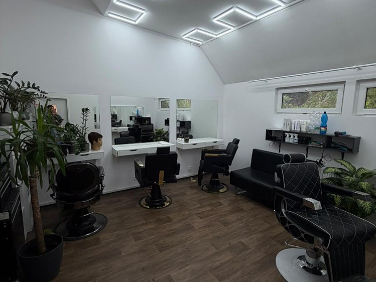 Pronájem komerčního prostoru, 120 m² (5 z 6)