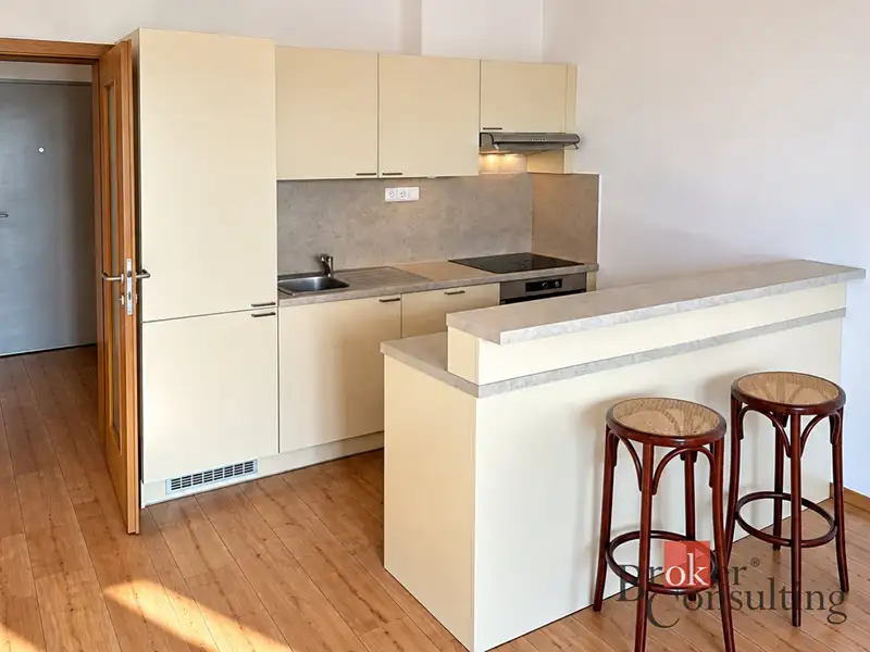 Pronájem bytu 2+kk 67 m², Jesenice – náhled fotky 3