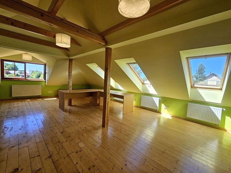 Haus zum Kauf, 252 m² (18 von 30)
