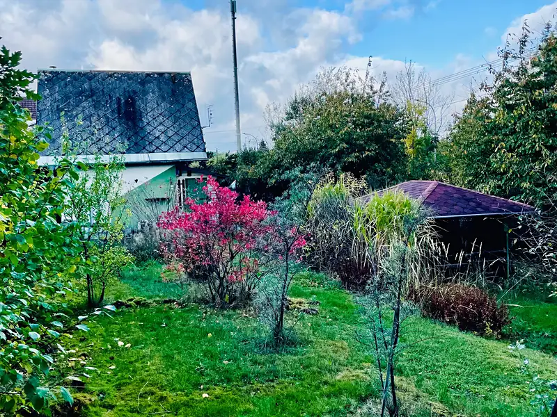 Prodej chaty 32 m², pozemek 548 m², Chodov – náhled fotky 2