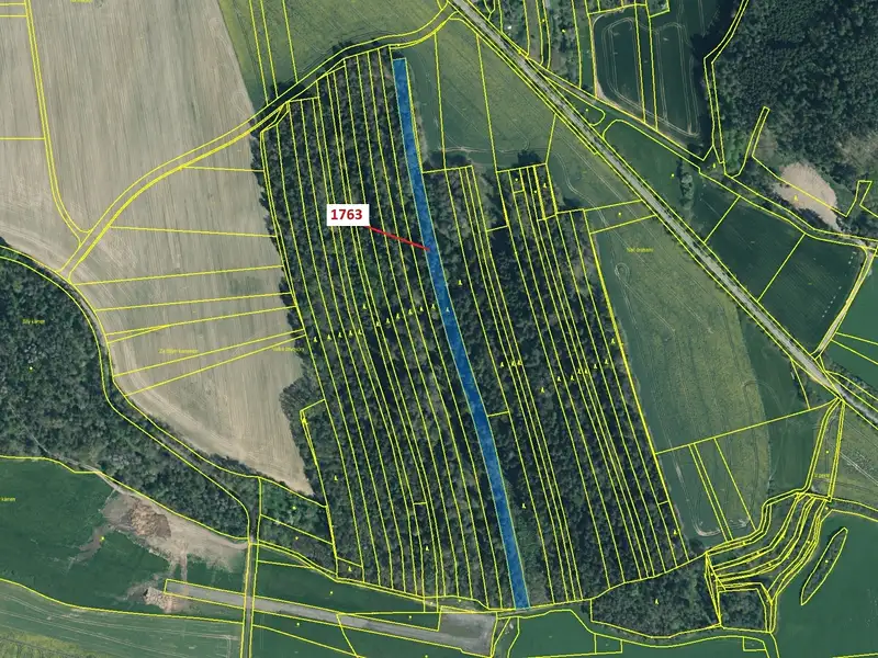 Dražba lesa 7329 m², Koloveč – náhled fotky 2