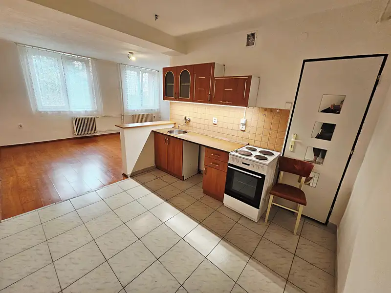Pronájem bytu 1+1 35 m², Litoměřice – náhled fotky 3