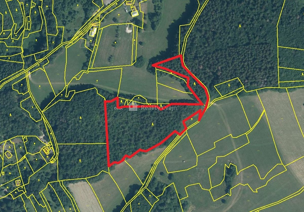 Prodej lesa 27339 m², Růžďka – fotka 1 z 3