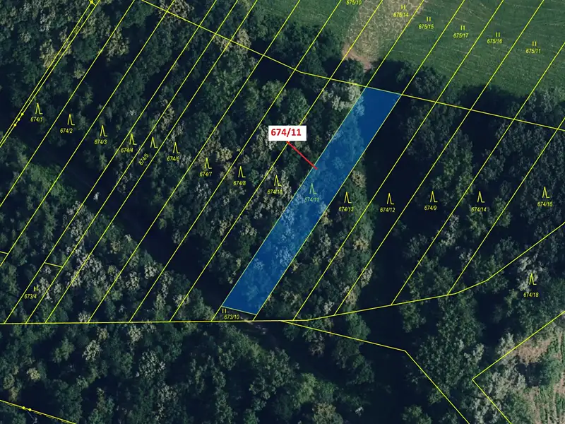 Dražba lesa 1322 m², Přerov – náhled fotky 2