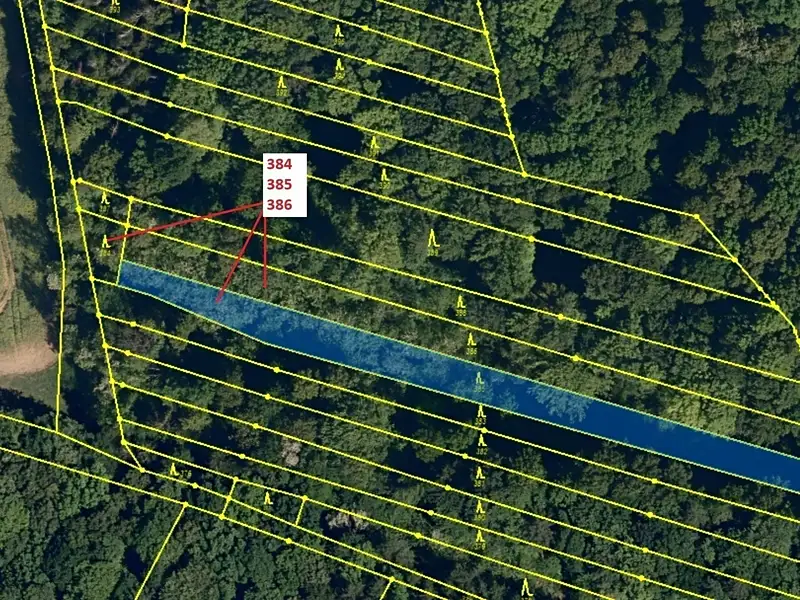 Dražba lesa 3483 m², Hradčany-Kobeřice – náhled fotky 2