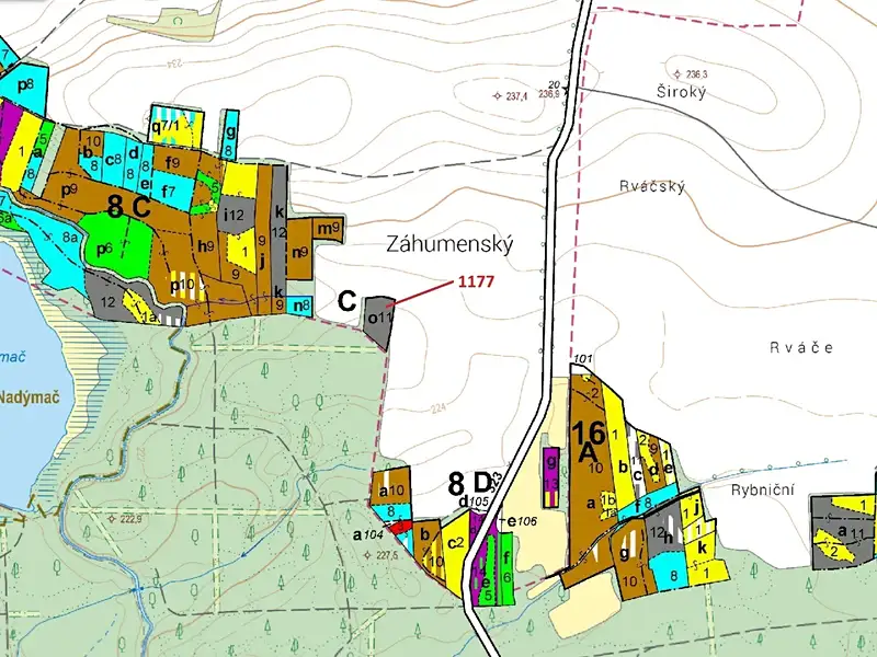 Dražba lesa 4658 m², Vlčí Habřina – náhled fotky 3