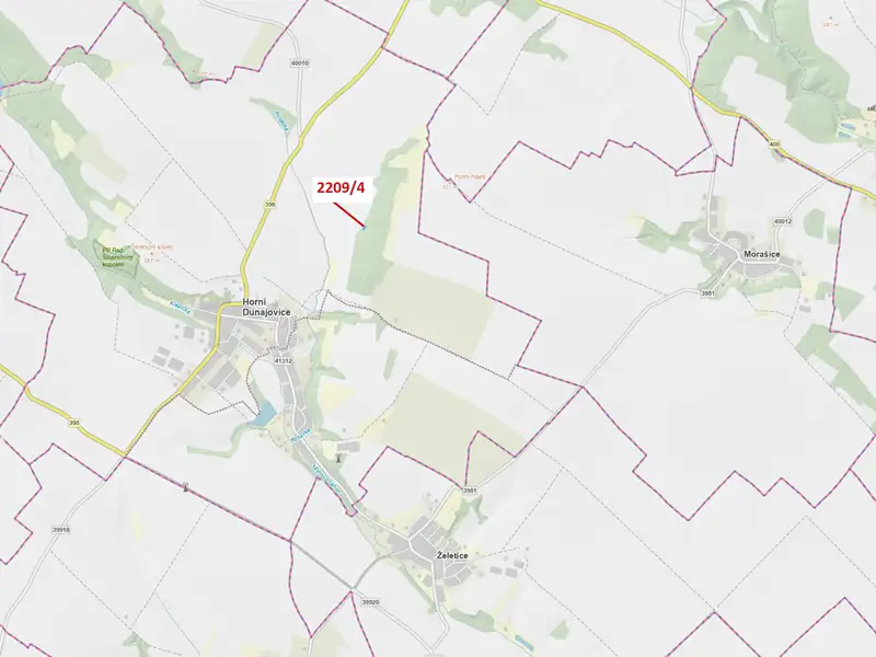 Dražba lesa 594 m², Horní Dunajovice – náhled fotky 1