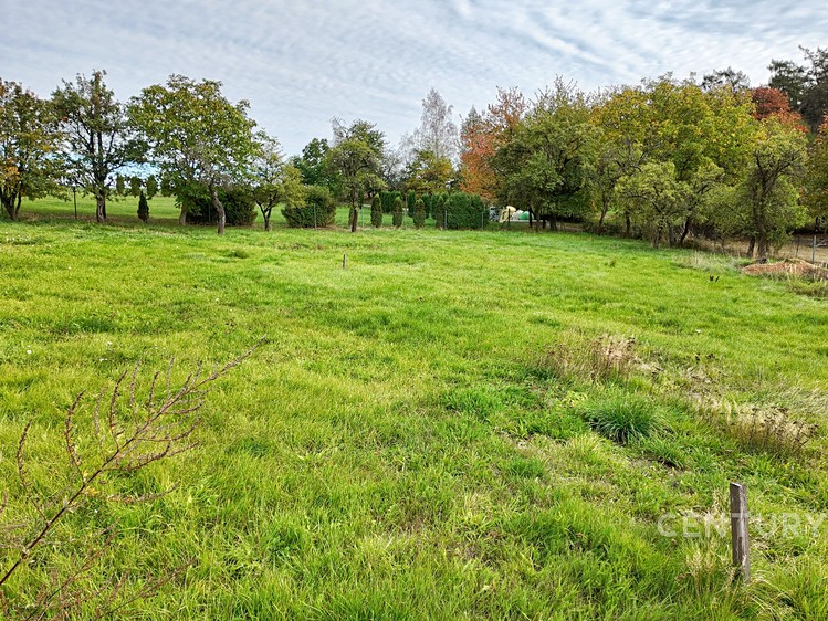 Ділянка на продаж, 1 263 м² (7 з 19)