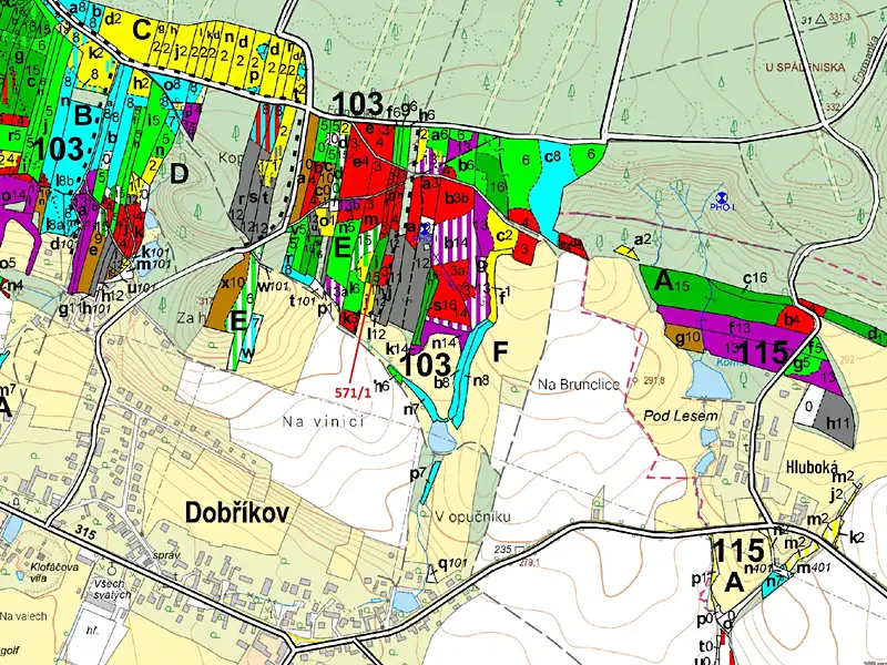 Dražba lesa 2332 m², Dobříkov – náhled fotky 3