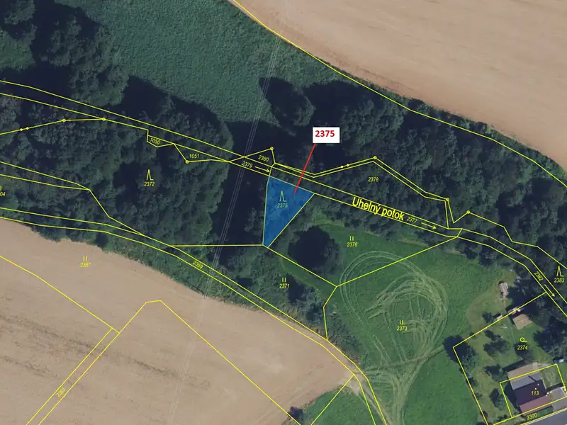 Dražba lesa 303 m², Březiny – náhled fotky 2