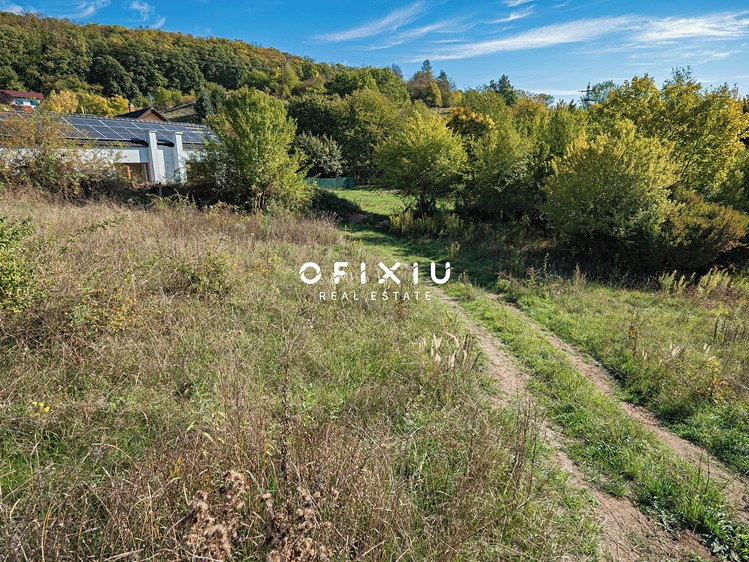 Ostatní