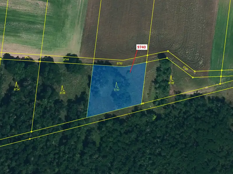 Dražba lesa 1377 m², Oleksovice – náhled fotky 2
