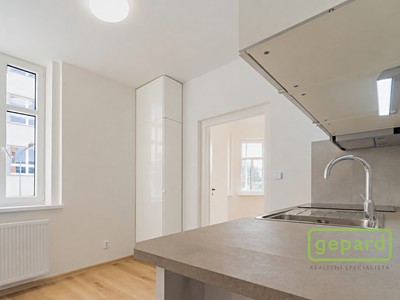 Wohnung 1+1 zur Miete, 42 m² (3 von 13)
