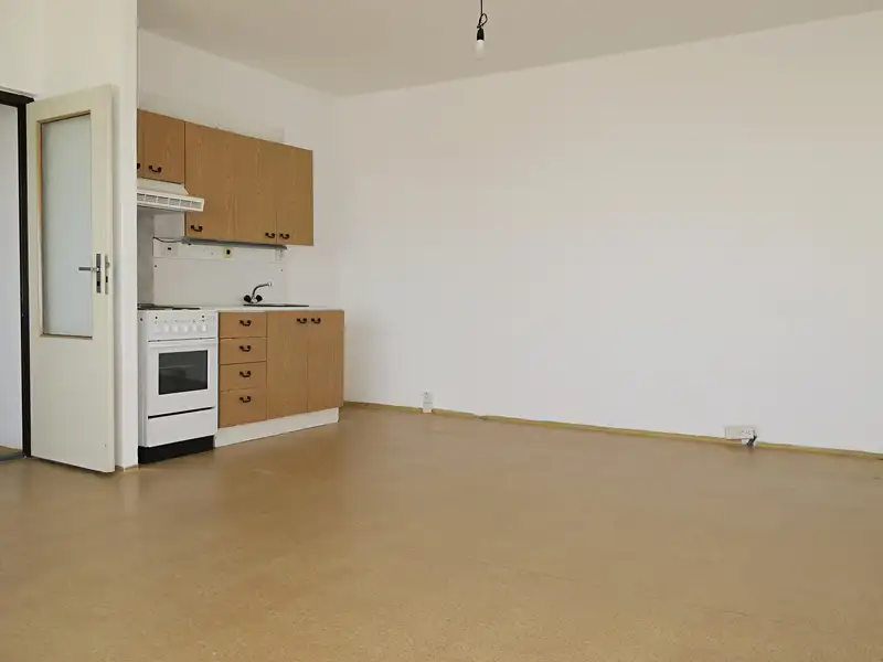 Prodej bytu 2+kk 50 m², Brno – náhled fotky 3