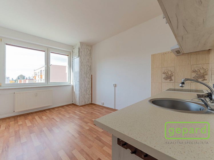 Квартира 1+1 в оренду, 35 м² (3 з 13)