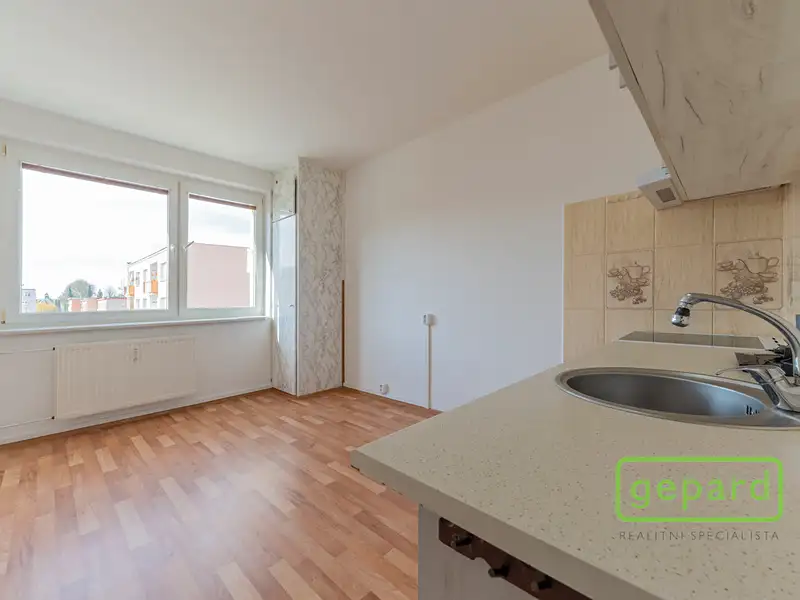 Pronájem bytu 1+1 35 m², Hazlov – náhled fotky 3