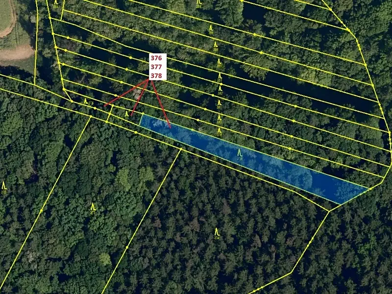Dražba lesa 1703 m², Hradčany-Kobeřice – náhled fotky 2