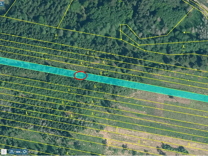 Prodej lesa 32955 m², Jickovice – náhled fotky 1