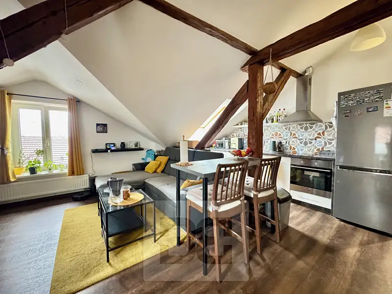 Pronájem bytu 3+kk 100 m², Brno – náhled fotky 1