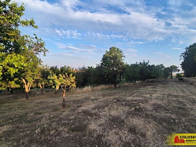 Prodej pozemku, 872 m² (2 z 6)
