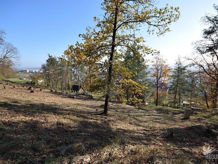 Prodej pozemku, 2 338 m² (19 z 22)