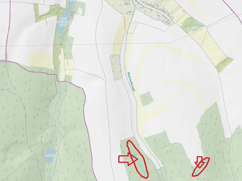 Prodej lesa 2823 m², Mouřínov – náhled fotky 3