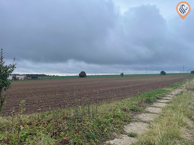 Grundstück zum Kauf, 51.051 m² (3 von 17)
