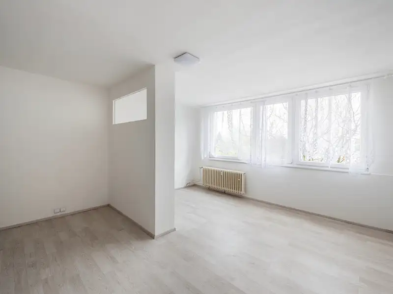 Pronájem bytu 1+kk 30 m², Praha – náhled fotky 2