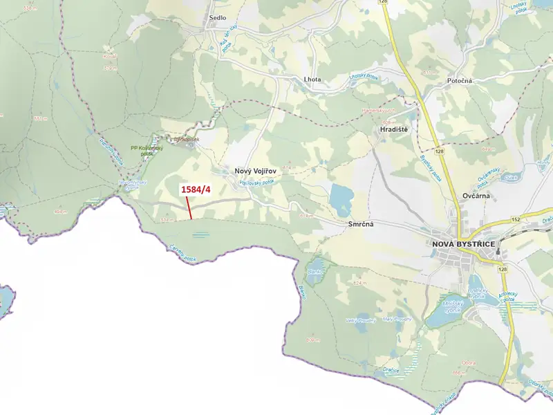 Dražba lesa 260 m², Nová Bystřice – náhled fotky 1