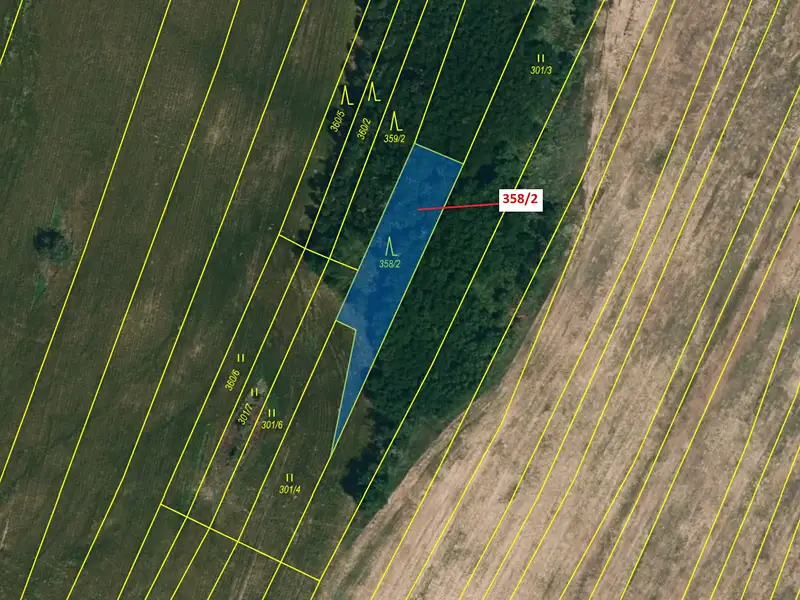 Dražba lesa 573 m², Horní Dunajovice – náhled fotky 2