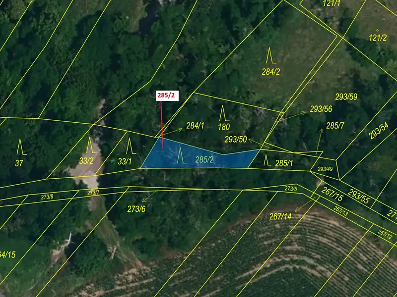 Dražba lesa 150 m², Horní Dunajovice – náhled fotky 2