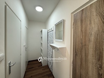 Pronájem bytu 1+1, 32 m² (3 z 11)