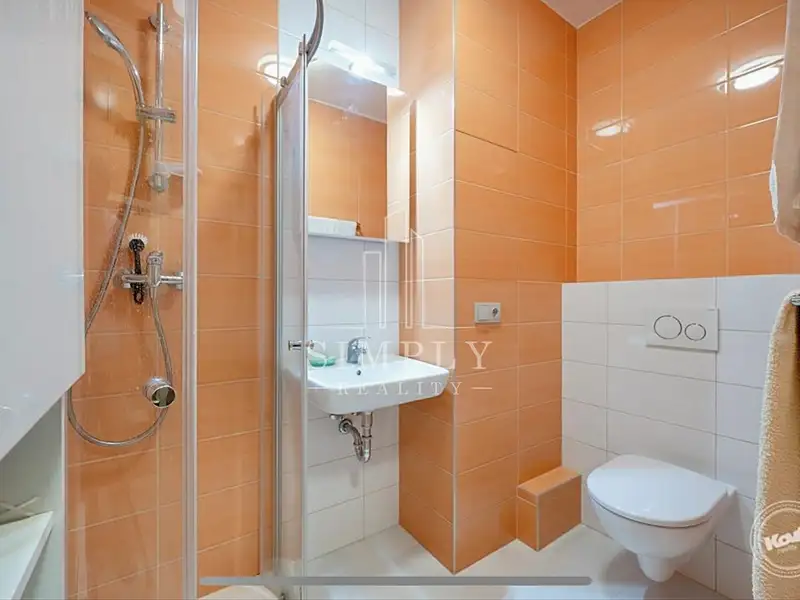 Pronájem bytu 2+1 59 m², Praha – náhled fotky 3