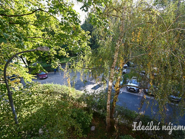 Ostatní