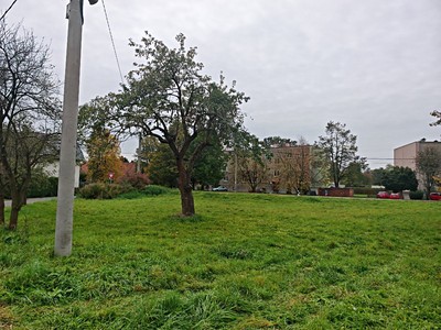 Grundstück zum Kauf, 800 m² (2 von 6)