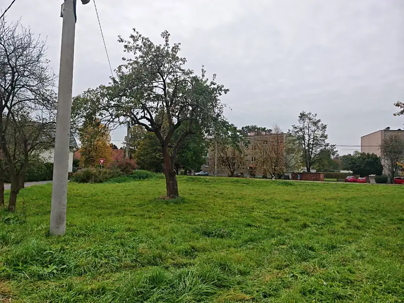 Prodej stavebního pozemku 800 m², Kunín – náhled fotky 2