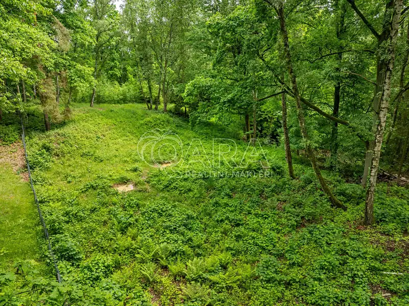 Prodej stavebního pozemku 5519 m², Hrubá Skála – náhled fotky 2