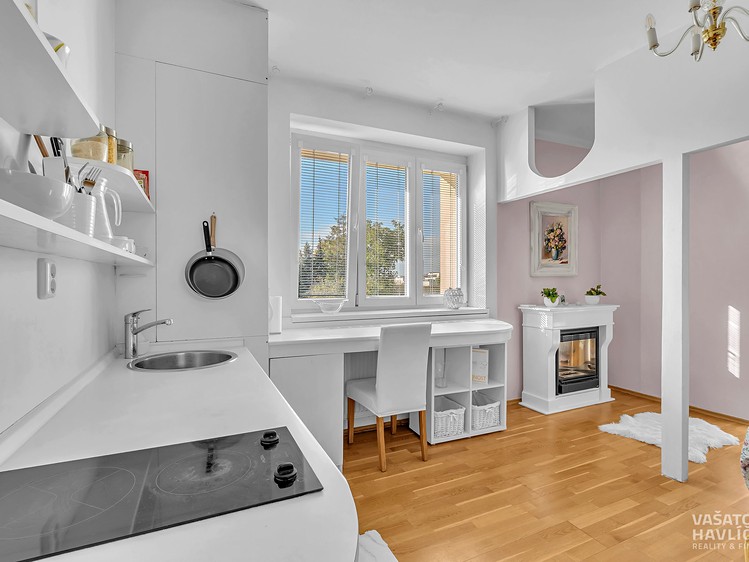 Wohnung 1+kk zur Miete, 28 m² (2 von 15)