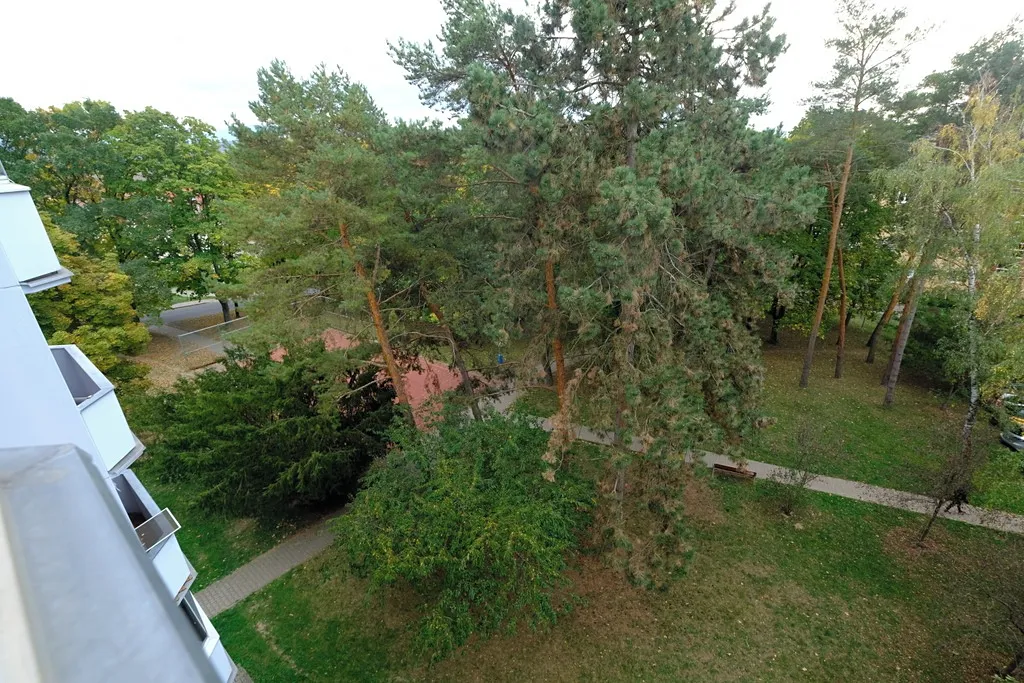Fotka 17 z 17