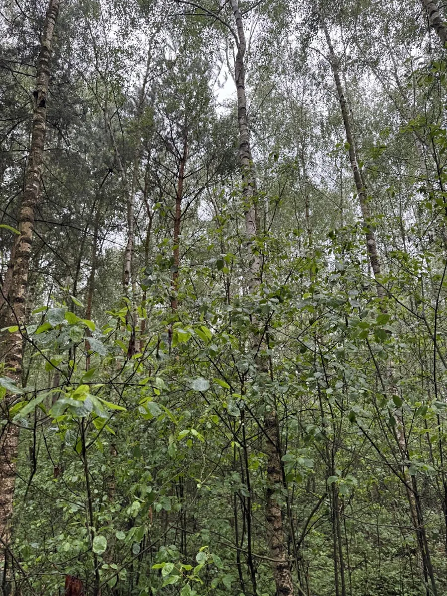 Fotka 9 z 14