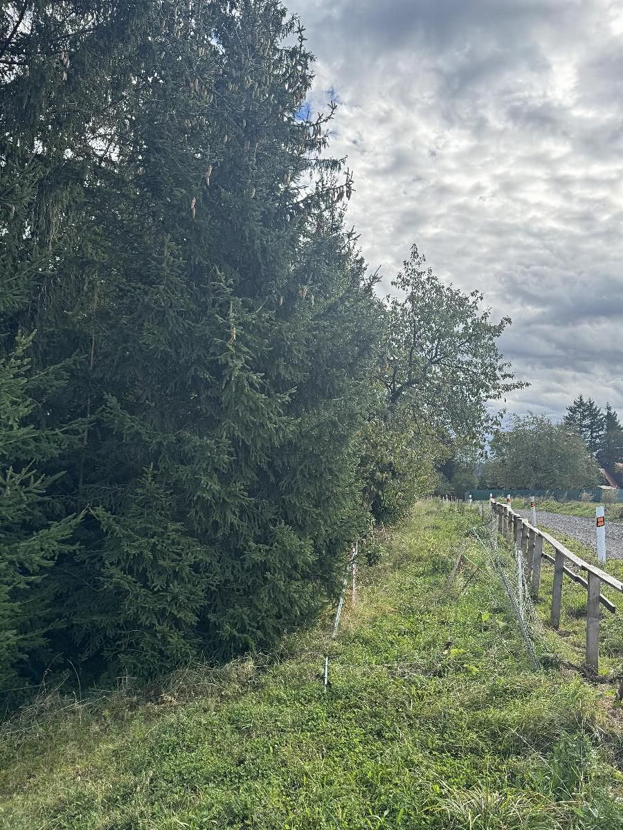 Prodej pozemku 10821 m², Velké Svatoňovice – fotka 1 z 3