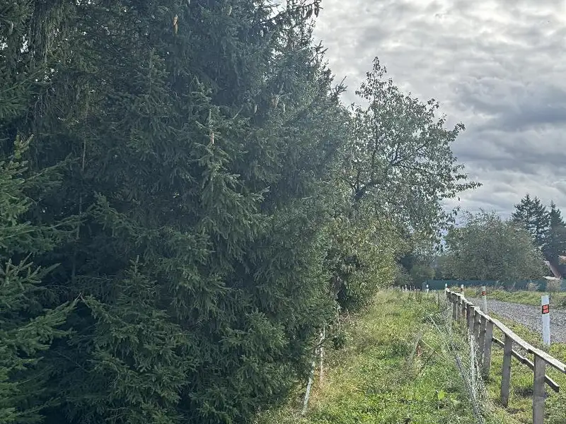 Prodej pozemku 10821 m², Velké Svatoňovice – náhled fotky 1