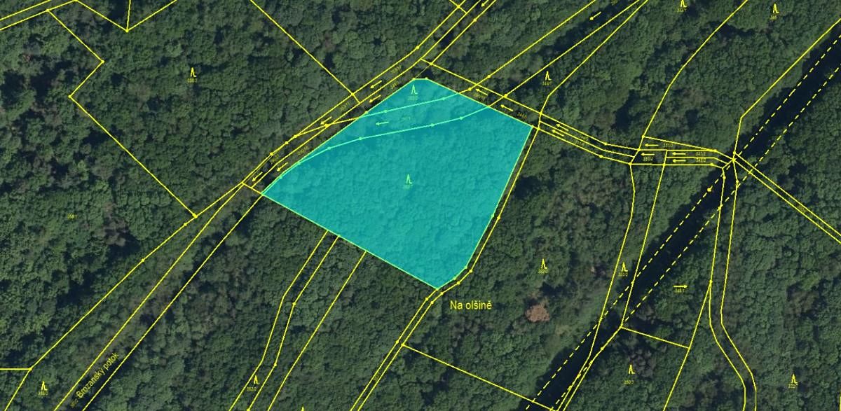 Prodej lesa 7559 m², Pardubice – fotka 1 z 3