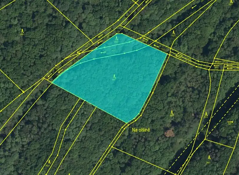Prodej lesa 7559 m², Pardubice – náhled fotky 1