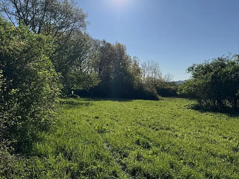 Prodej pozemku 20250 m², Čížkov – náhled fotky 1